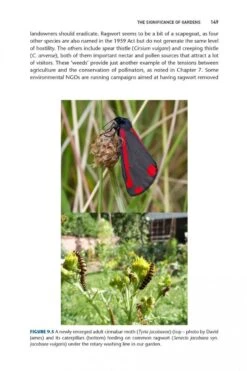 Pollinators & Pollination 19 Pollinators & Pollination -Wildlife Professional Books 251217 06