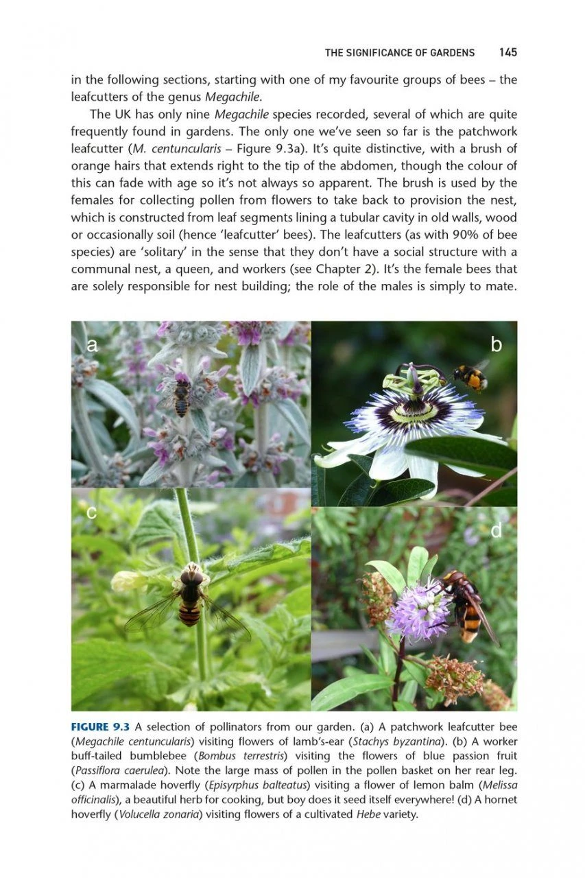 Pollinators & Pollination 11 Pollinators & Pollination - Image 9