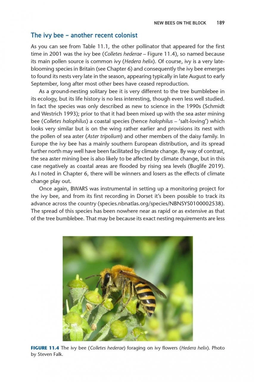 Pollinators & Pollination 12 Pollinators & Pollination - Image 10