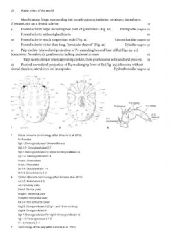 Wildlife Professional Books 17 Wildlife Professional Books -Wildlife Professional Books 252264 1