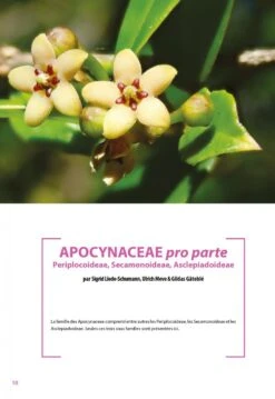 Flore De La Nouvelle-Calédonie, Volume 27: Apocynaceae P.p., Phellinaceae, Capparaceae [Faune Et Flore Tropicales, Volume 49] -Wildlife Professional Books 252285 01