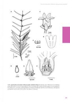 Flore De La Nouvelle-Calédonie, Volume 27: Apocynaceae P.p., Phellinaceae, Capparaceae [Faune Et Flore Tropicales, Volume 49] -Wildlife Professional Books 252285 06