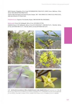 Flore De La Nouvelle-Calédonie, Volume 27: Apocynaceae P.p., Phellinaceae, Capparaceae [Faune Et Flore Tropicales, Volume 49] -Wildlife Professional Books 252285 08