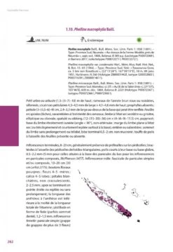 Flore De La Nouvelle-Calédonie, Volume 27: Apocynaceae P.p., Phellinaceae, Capparaceae [Faune Et Flore Tropicales, Volume 49] -Wildlife Professional Books 252285 13