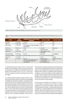 Atlas Des Mammifères Sauvages De France, Volume 2: Ongulés Et Lagomorphes [Atlas Of Wild Mammals Of France, Volume 2: Ungulates And Lagomorphs] -Wildlife Professional Books 252352 03