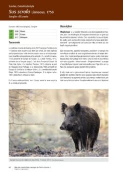 Atlas Des Mammifères Sauvages De France, Volume 2: Ongulés Et Lagomorphes [Atlas Of Wild Mammals Of France, Volume 2: Ungulates And Lagomorphs] -Wildlife Professional Books 252352 05