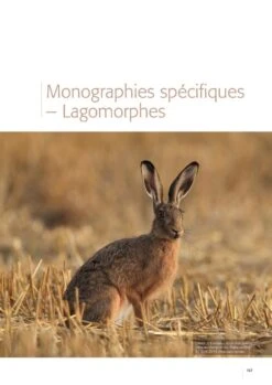 Atlas Des Mammifères Sauvages De France, Volume 2: Ongulés Et Lagomorphes [Atlas Of Wild Mammals Of France, Volume 2: Ungulates And Lagomorphs] -Wildlife Professional Books 252352 08