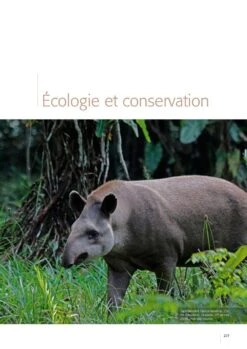 Atlas Des Mammifères Sauvages De France, Volume 2: Ongulés Et Lagomorphes [Atlas Of Wild Mammals Of France, Volume 2: Ungulates And Lagomorphs] -Wildlife Professional Books 252352 18