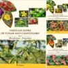 Vascular Flora Of Punjab And Chandigarh (3-Volume Set) 2 Vascular Flora Of Punjab And Chandigarh (3-Volume Set) -Wildlife Professional Books 252622