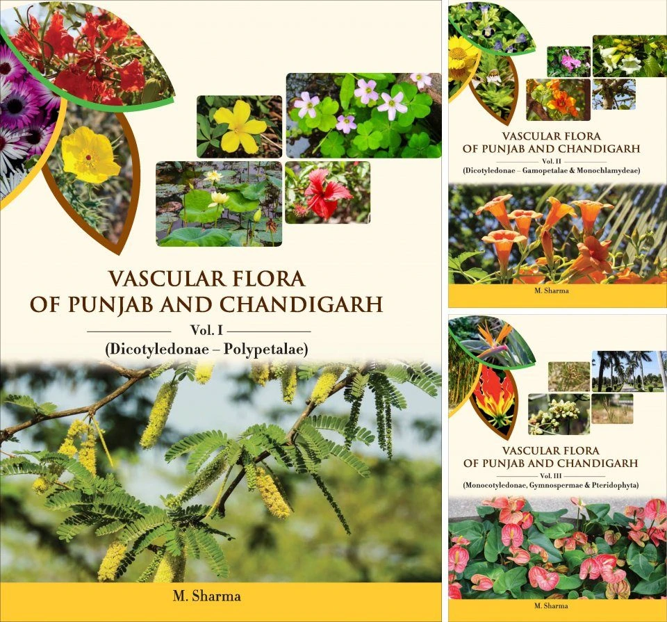 Vascular Flora Of Punjab And Chandigarh (3-Volume Set) 3 Vascular Flora Of Punjab And Chandigarh (3-Volume Set)