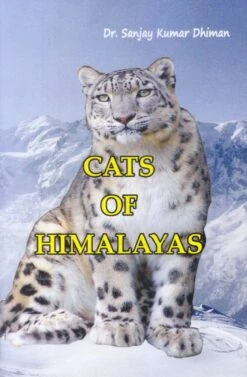 Cats Of Himalayas