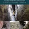 Bat Roosts In Rock 2 Bat Roosts In Rock -Wildlife Professional Books 253048