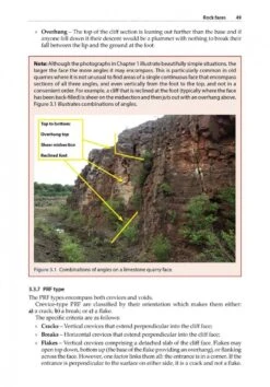 Bat Roosts In Rock 15 Bat Roosts In Rock -Wildlife Professional Books 253048 4