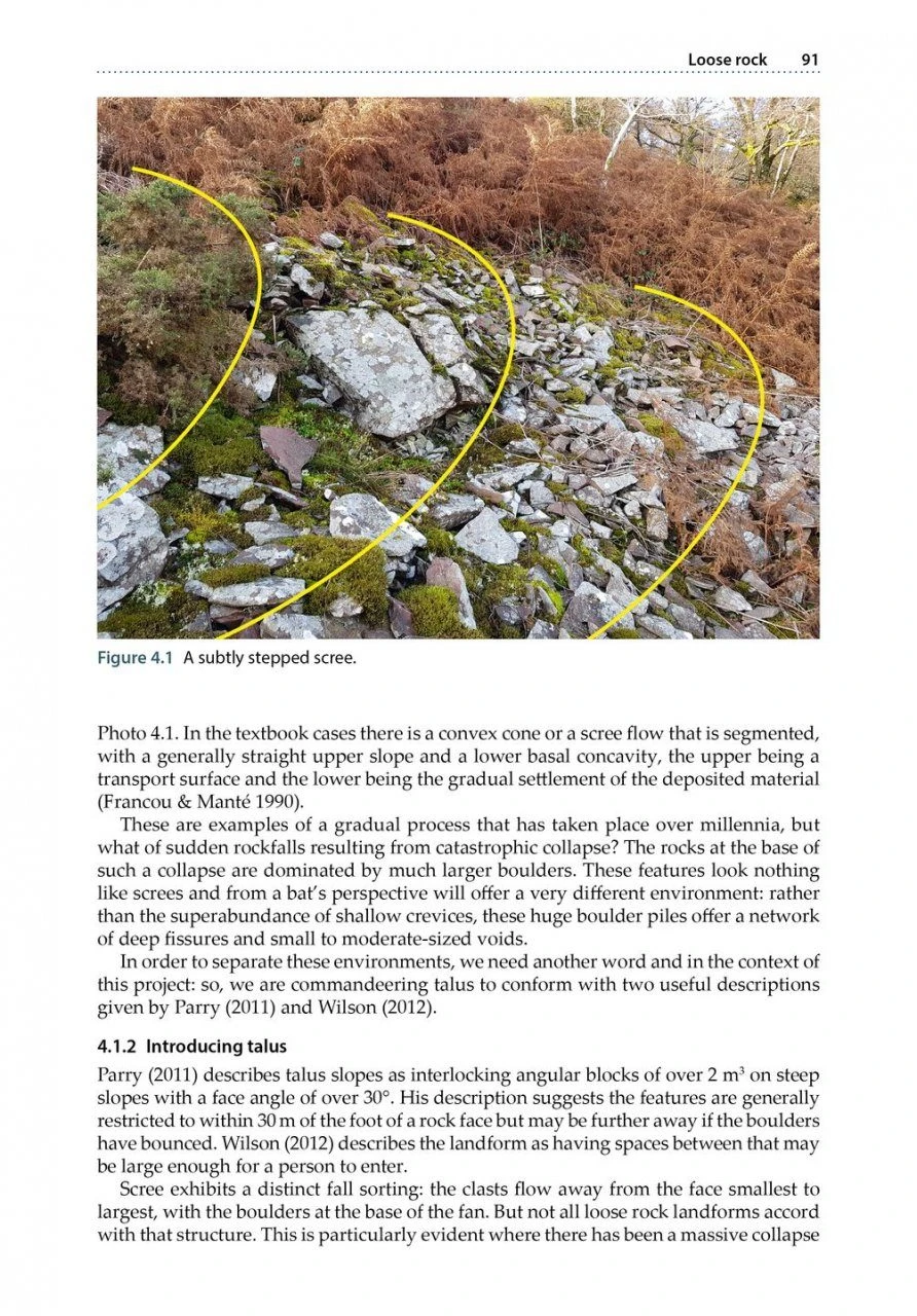 Bat Roosts In Rock 8 Bat Roosts In Rock - Image 6