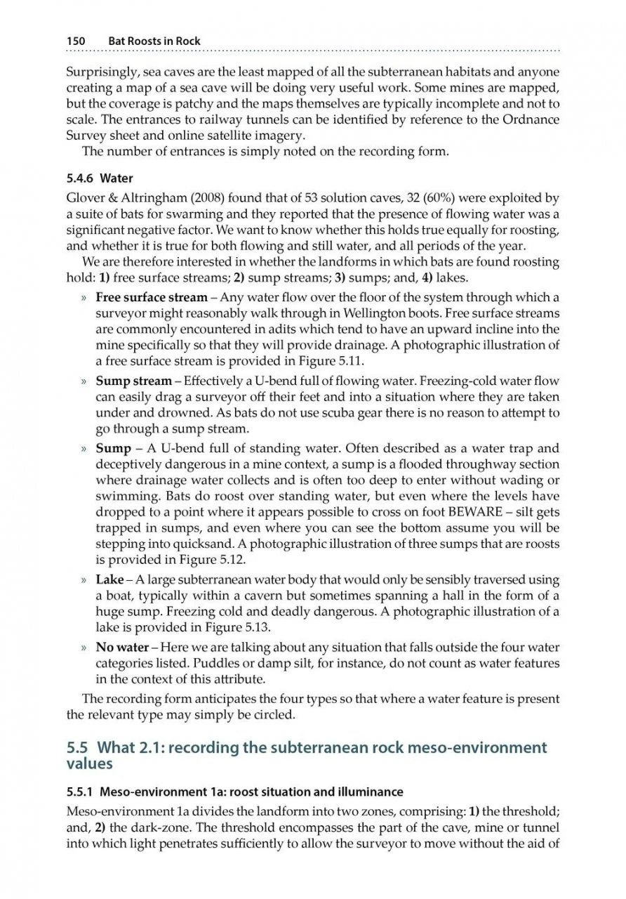 Bat Roosts In Rock 9 Bat Roosts In Rock - Image 7