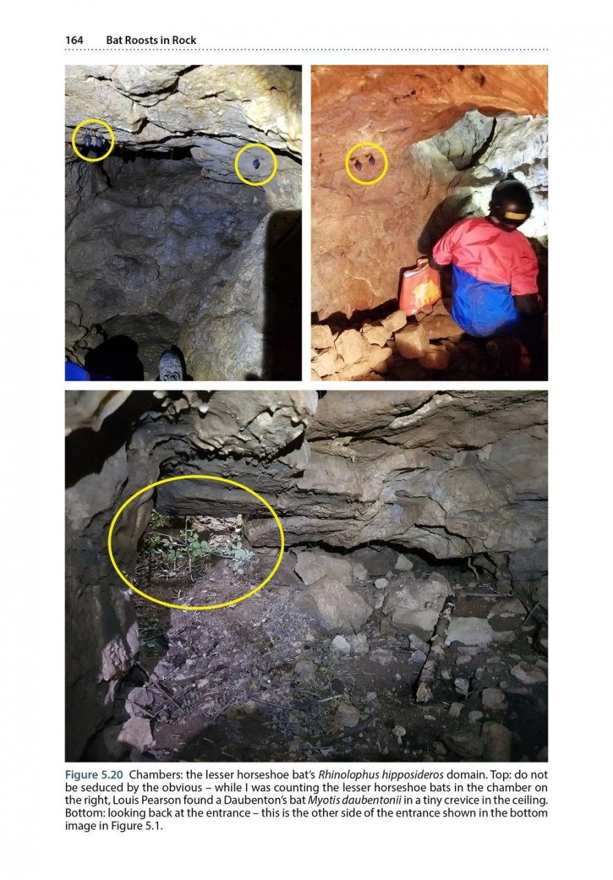 Bat Roosts In Rock 10 Bat Roosts In Rock - Image 8