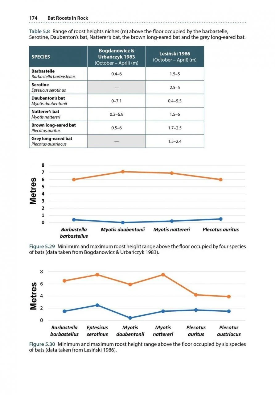 Bat Roosts In Rock 11 Bat Roosts In Rock - Image 9