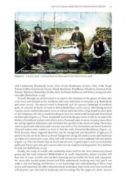 Ancient Woods, Trees & Forests 13 Ancient Woods, Trees & Forests -Wildlife Professional Books 253275 2