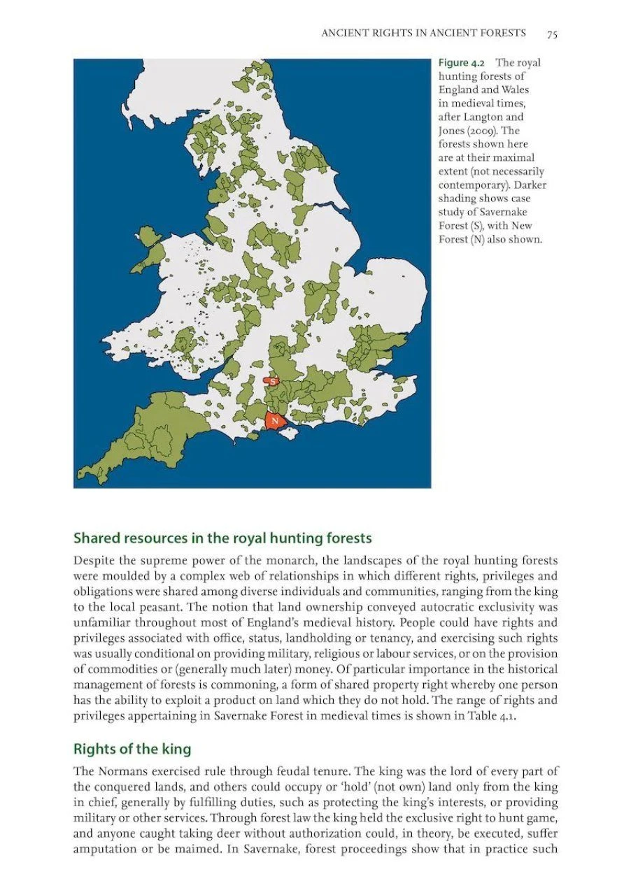 Ancient Woods, Trees & Forests 8 Ancient Woods, Trees & Forests - Image 6