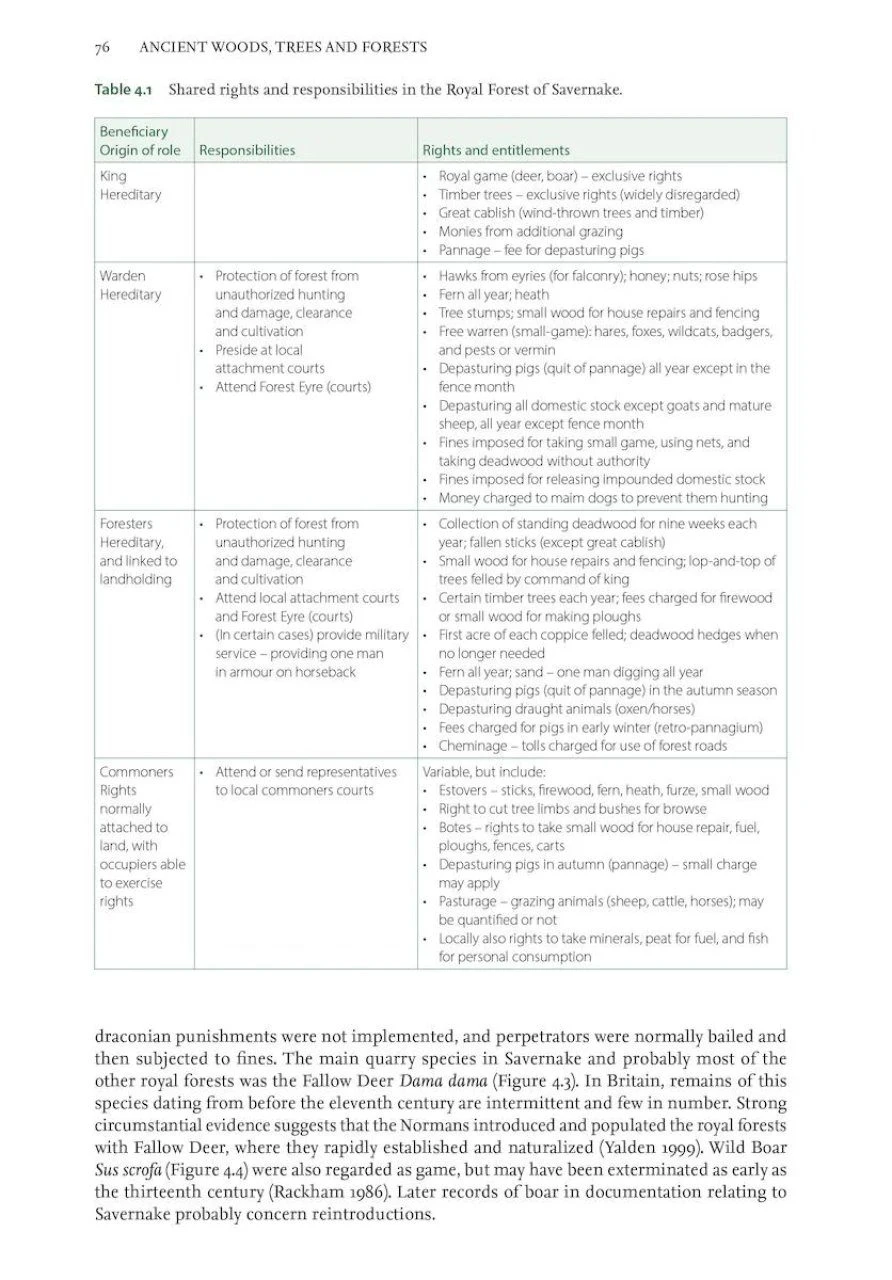 Ancient Woods, Trees & Forests 9 Ancient Woods, Trees & Forests - Image 7