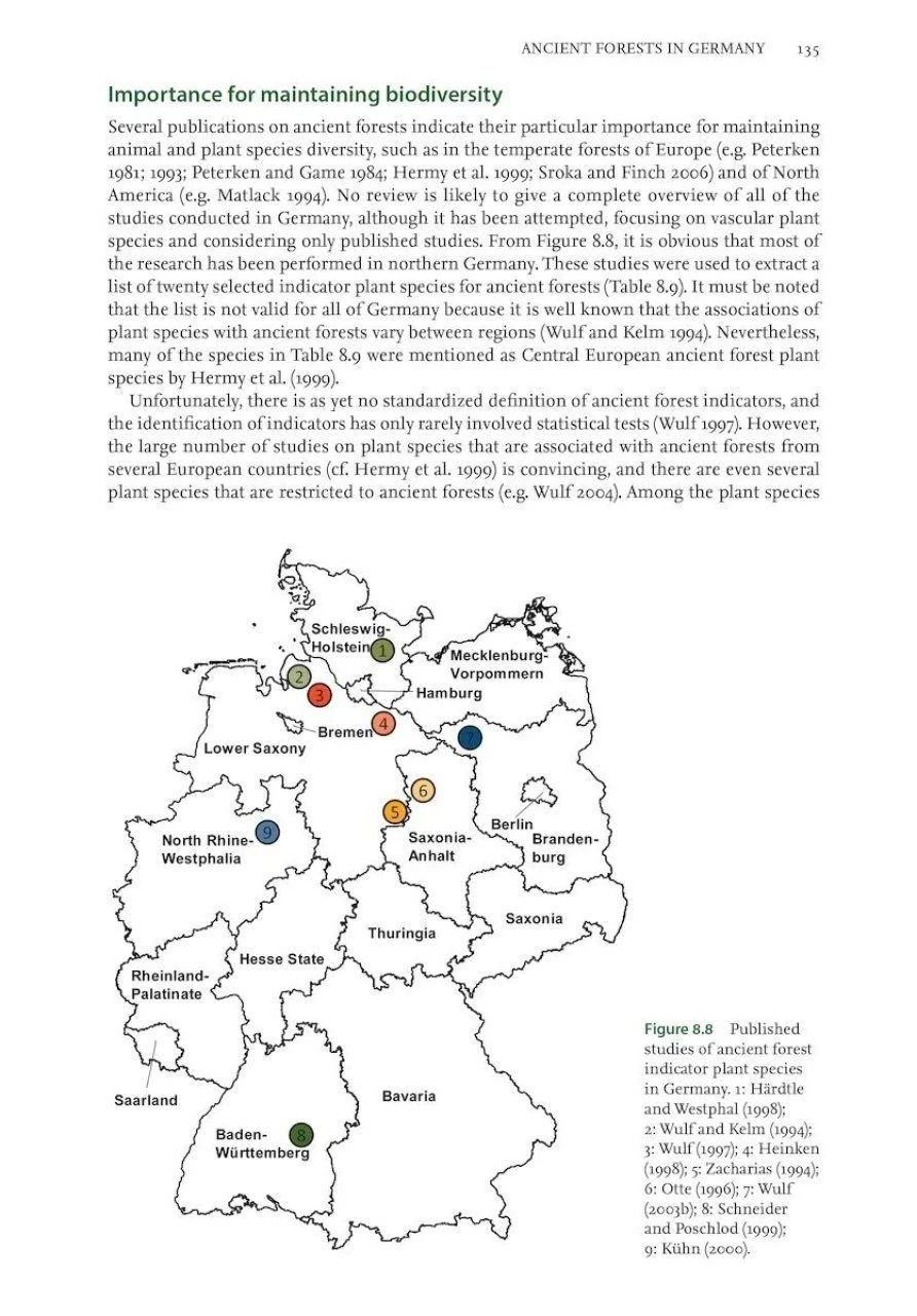 Ancient Woods, Trees & Forests 10 Ancient Woods, Trees & Forests - Image 8