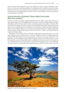 Ancient Woods, Trees & Forests 19 Ancient Woods, Trees & Forests -Wildlife Professional Books 253275 8