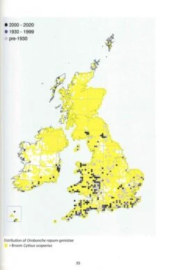 Broomrapes Of Britain & Ireland 8 Broomrapes Of Britain & Ireland -Wildlife Professional Books 253444 1