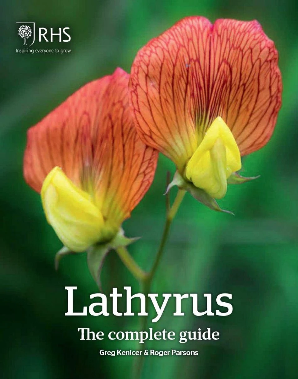 Lathyrus 2 Lathyrus