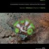 Tropical Deep-Sea Benthos, Volume 32 -Wildlife Professional Books 254936