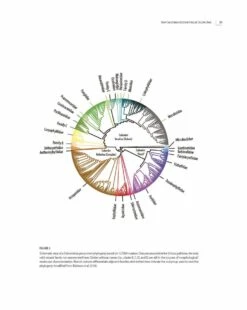 Tropical Deep-Sea Benthos, Volume 32 21 Tropical Deep-Sea Benthos, Volume 32 -Wildlife Professional Books 254936 02