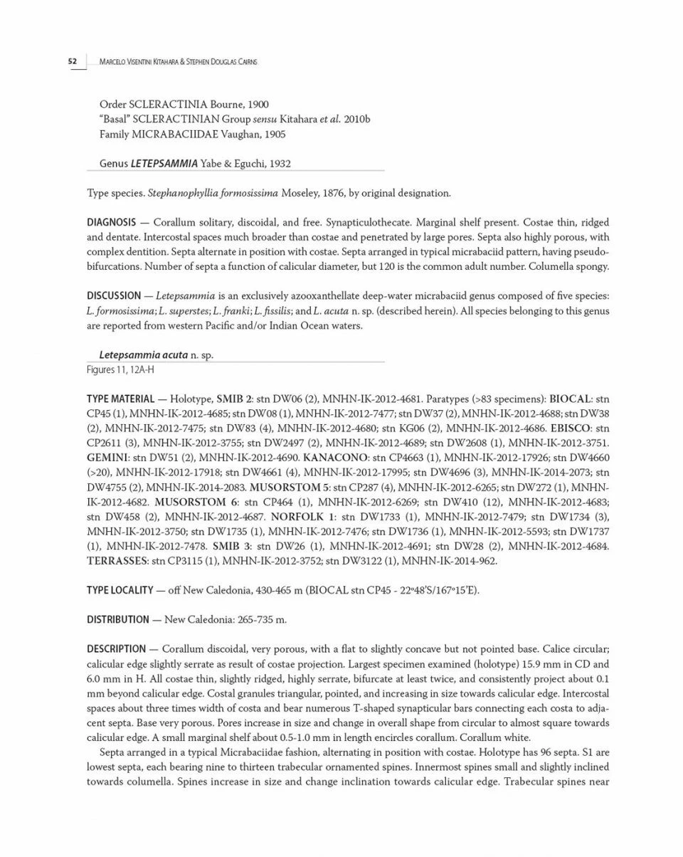 Tropical Deep-Sea Benthos, Volume 32 10 Tropical Deep-Sea Benthos, Volume 32 - Image 8