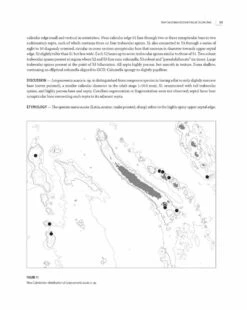 Tropical Deep-Sea Benthos, Volume 32 27 Tropical Deep-Sea Benthos, Volume 32 -Wildlife Professional Books 254936 08