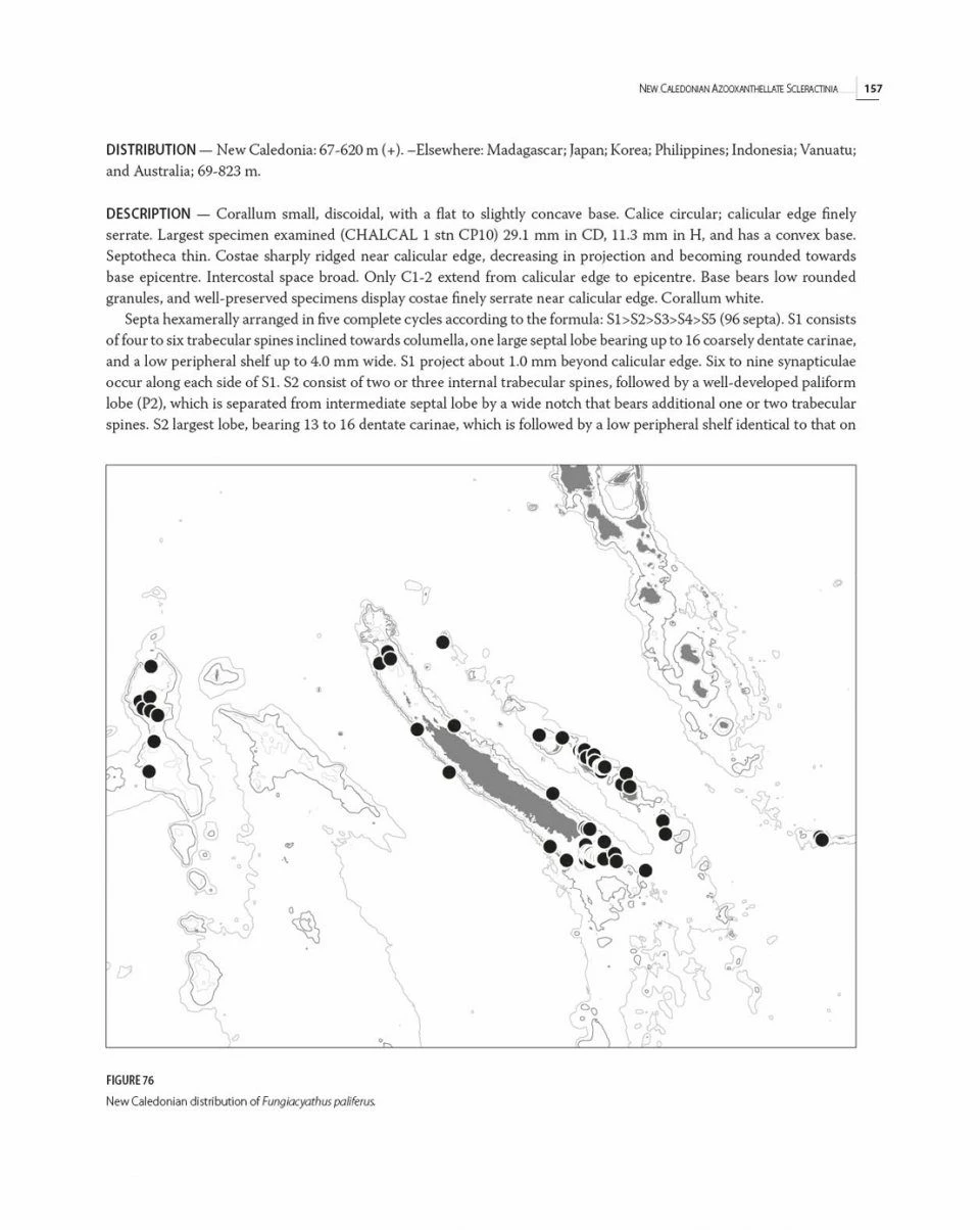 Tropical Deep-Sea Benthos, Volume 32 15 Tropical Deep-Sea Benthos, Volume 32 - Image 13