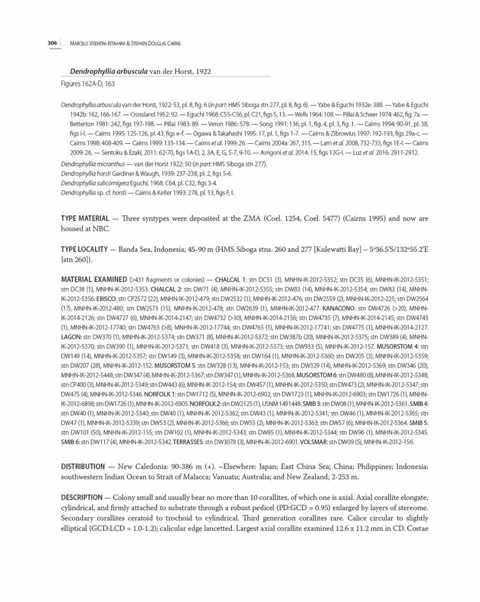 Tropical Deep-Sea Benthos, Volume 32 16 Tropical Deep-Sea Benthos, Volume 32 - Image 14