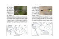 Atlas Of The Dragonflies And Damselflies Of West And Central Asia 10 Atlas Of The Dragonflies And Damselflies Of West And Central Asia -Wildlife Professional Books 254996 3