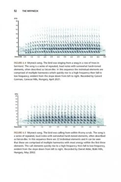 The Wryneck 14 The Wryneck -Wildlife Professional Books 255001 3