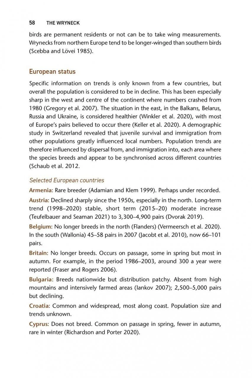 The Wryneck 8 The Wryneck - Image 6