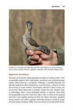 The Wryneck 17 The Wryneck -Wildlife Professional Books 255001 6