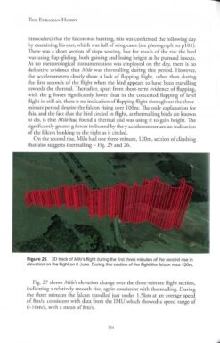 The Eurasian Hobby 10 The Eurasian Hobby -Wildlife Professional Books 255030 2