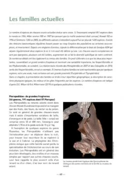 Les Chauves-Souris De France, Belgique, Luxembourg & Suisse [Bats Of France, Belgium, Luxembourg And Switzerland] -Wildlife Professional Books 255086 03