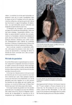 Les Chauves-Souris De France, Belgique, Luxembourg & Suisse [Bats Of France, Belgium, Luxembourg And Switzerland] -Wildlife Professional Books 255086 05