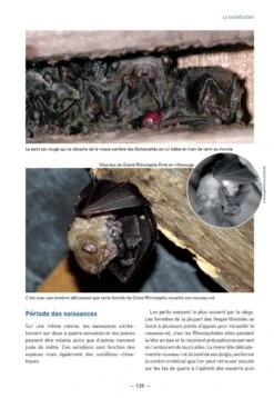 Les Chauves-Souris De France, Belgique, Luxembourg & Suisse [Bats Of France, Belgium, Luxembourg And Switzerland] -Wildlife Professional Books 255086 06