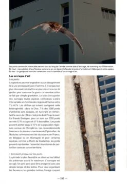 Les Chauves-Souris De France, Belgique, Luxembourg & Suisse [Bats Of France, Belgium, Luxembourg And Switzerland] -Wildlife Professional Books 255086 07