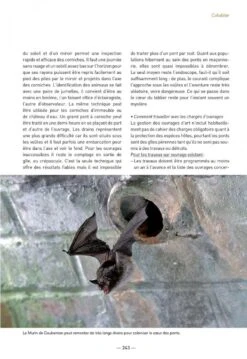 Les Chauves-Souris De France, Belgique, Luxembourg & Suisse [Bats Of France, Belgium, Luxembourg And Switzerland] -Wildlife Professional Books 255086 08