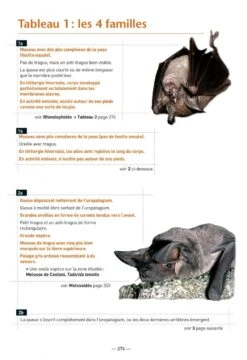 Les Chauves-Souris De France, Belgique, Luxembourg & Suisse [Bats Of France, Belgium, Luxembourg And Switzerland] -Wildlife Professional Books 255086 09