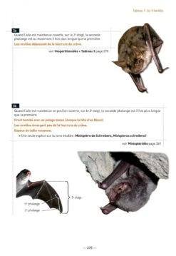 Les Chauves-Souris De France, Belgique, Luxembourg & Suisse [Bats Of France, Belgium, Luxembourg And Switzerland] -Wildlife Professional Books 255086 10
