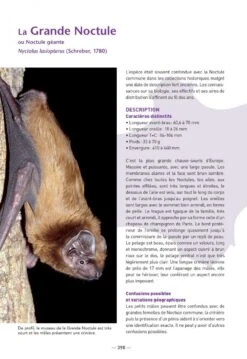 Les Chauves-Souris De France, Belgique, Luxembourg & Suisse [Bats Of France, Belgium, Luxembourg And Switzerland] -Wildlife Professional Books 255086 13
