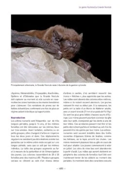 Les Chauves-Souris De France, Belgique, Luxembourg & Suisse [Bats Of France, Belgium, Luxembourg And Switzerland] -Wildlife Professional Books 255086 18