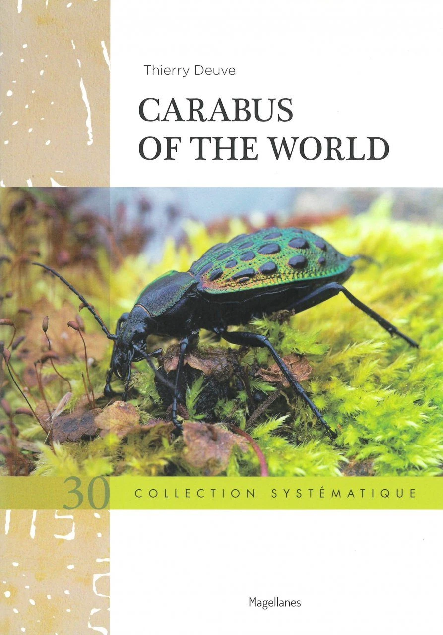 Carabus Of The World 3 Carabus Of The World