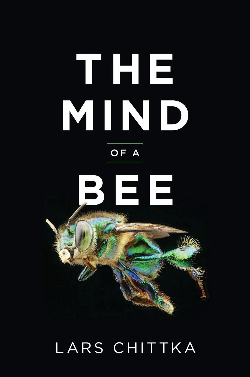 The Mind Of A Bee 3 The Mind Of A Bee